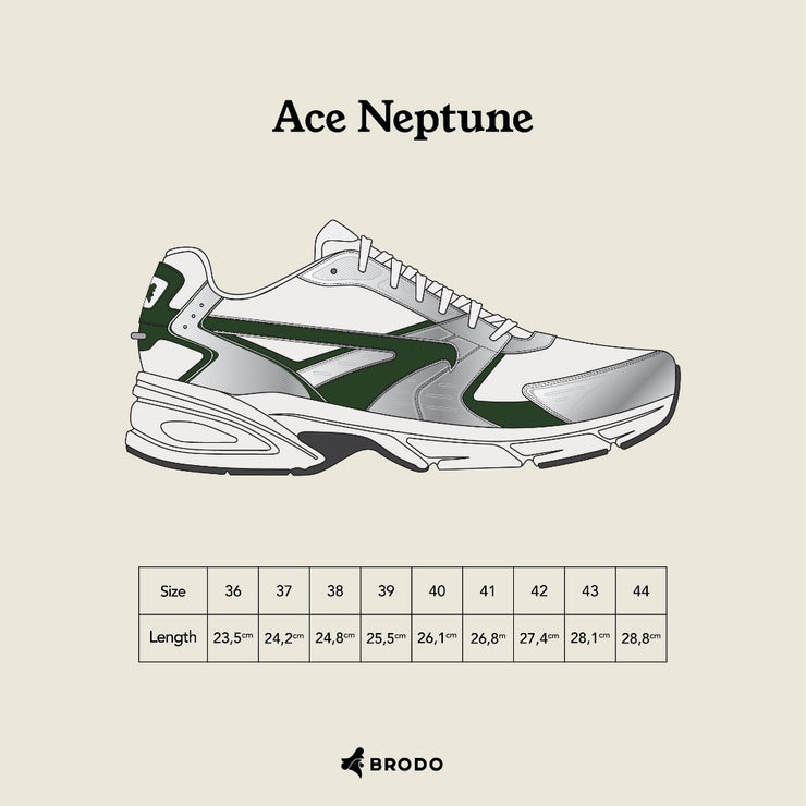 BRODO - Sneakers Ace Neptune Silver Green WS