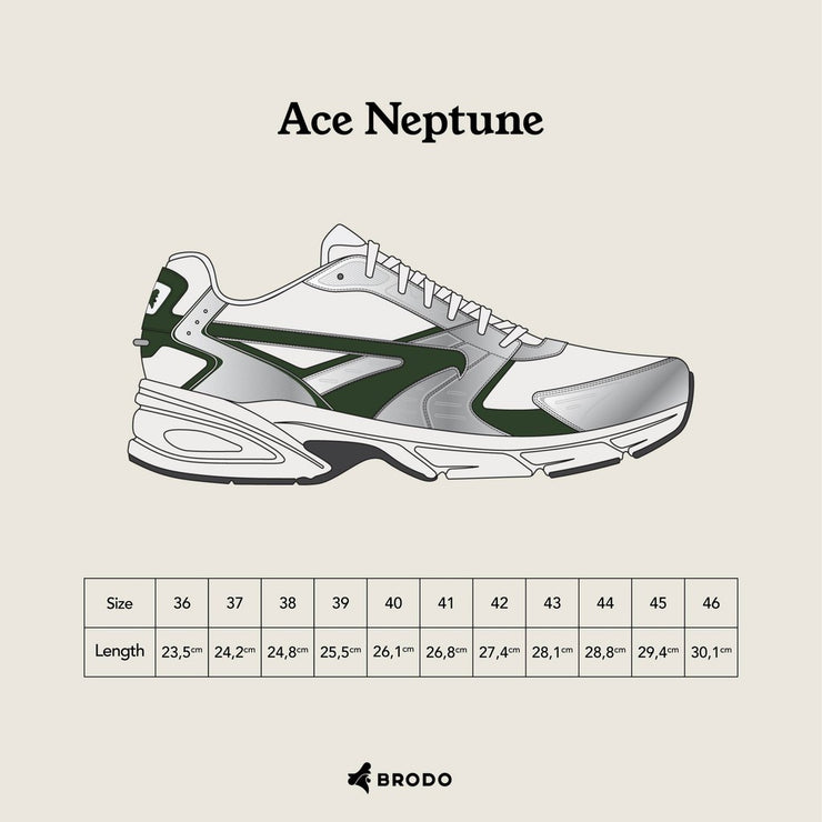 BRODO - Sneakers Ace Neptune Silver Green WS